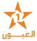Logo de Laayoune TV