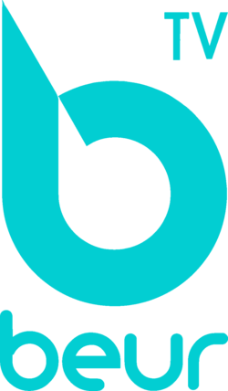 Logo de Beur TV